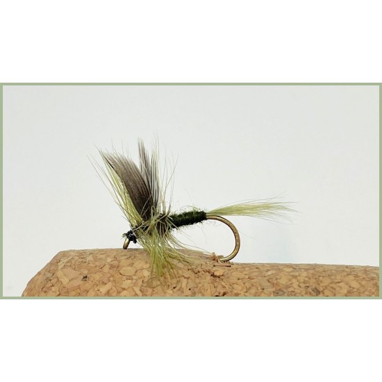 Whickhams Fancy Dry Forelle Fliegen, 12 Stück Whickhams